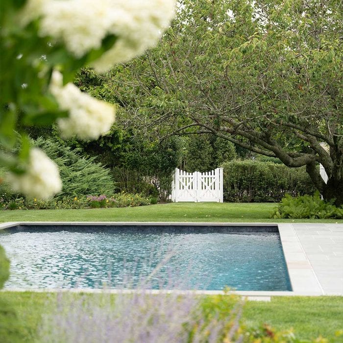 Backyard pool and landscaping content for Dragonfly Landscaping