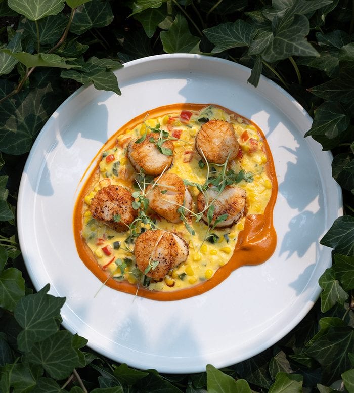 Seared scallops dish content for Ivy on Main